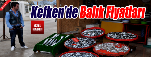 Kandıra Haber sizler için Kefken Limanı'nda balık fiyatlarını araştırdı.Karadeniz'in eşsiz