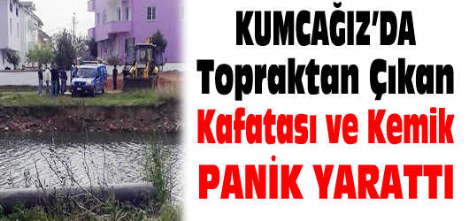 Kandıra Kumcağız Mahallesi'nde toprağa gömülü halde bulunan kafatası ve kemik