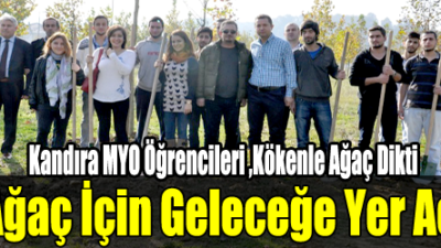 Kandıra Belediyesi Namazgah Mesire Alanında ağaçlandırama çalışması yaptı.