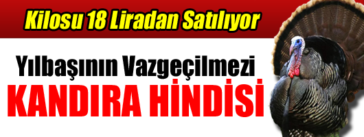 Yılbaşı sofralarının vazgeçilmezleri arasında bulunan hindi piyasasında hareketlilik başladı. Kandıra'da