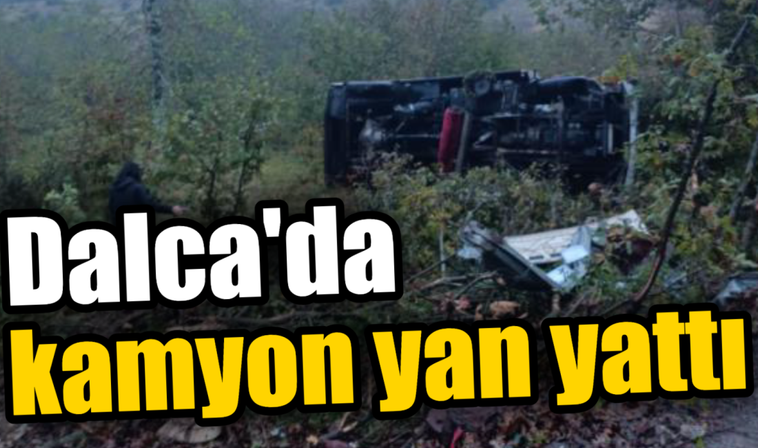 Kandıra Dalca mevkiinde meydana gelen olay, bölge sakinlerini endişelendirdi.
