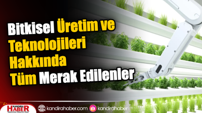 Bitkisel Üretim ve Teknolojileri Bölümü, tarımsal üretim ve bitki yetiştiriciliği