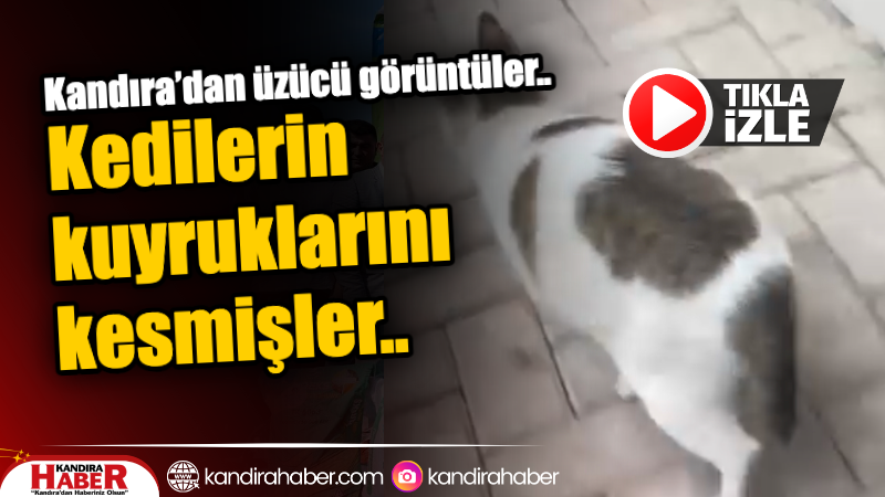 Kandıra Haber'e mesaj yoluyla ulaşan vatandaşların paylaştığı görsellerde, iki farklı