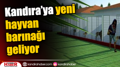 Kocaeli Büyükşehir Belediyesi, Kandıra’da sokak hayvanlarının rehabilitasyonu için önemli bir