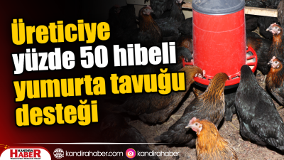 Büyükşehir, “Doğal Salma Yumurta Tavukçuluğu Projesi” kapsamında üreticilere yüzde 50