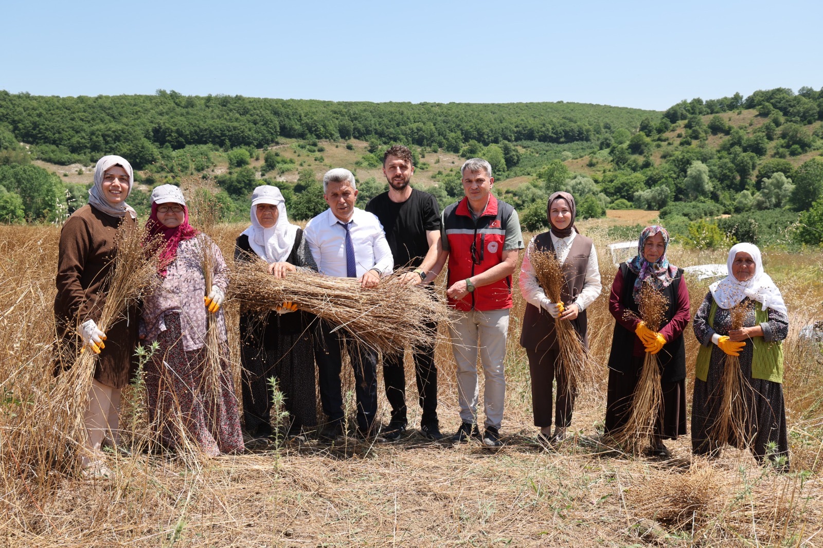 Kandıra Belediyesi KETENKÖY projesi hasat görüntüsü