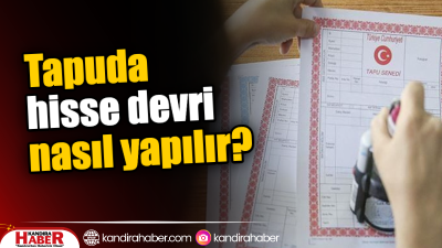 Tapuda hisse devri, ortak mülkiyete sahip taşınmazlarda bir payın diğer