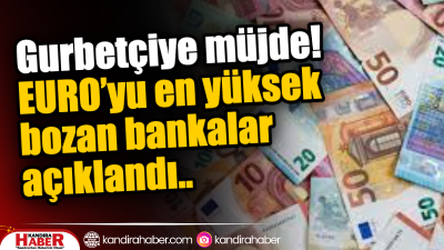 Yaz aylarında Türkiye’ye gelen gurbetçiler döviz bozdururken en iyi kuru