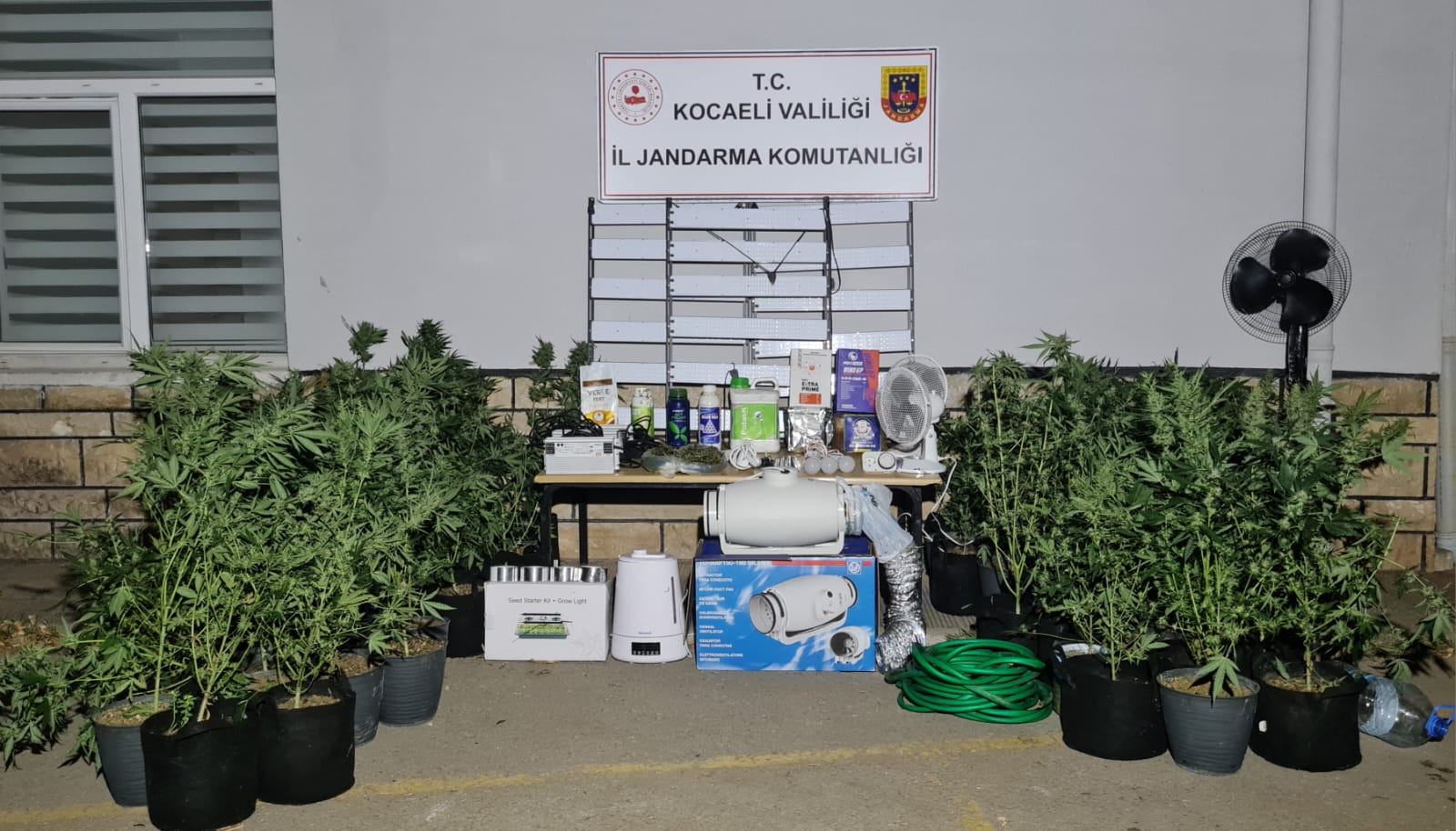 Akçaova Karakolu ve JASAT ekipleri tarafından ele geçirilen kenevirler