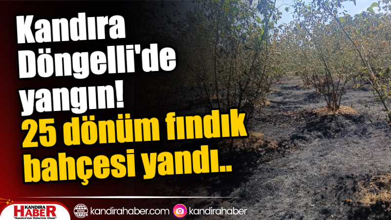 Kandıra Döngelli Mahallesi’nde çıkan yangın, itfaiye ekipleri, Kandıra Belediyesi Fen