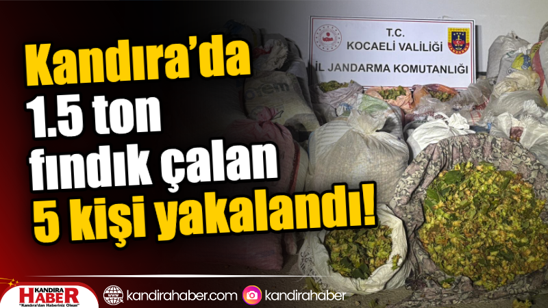 Kocaeli’nin Kandıra ilçesinde jandarma ekipleri tarafından düzenlenen operasyonda fındık hırsızlığı