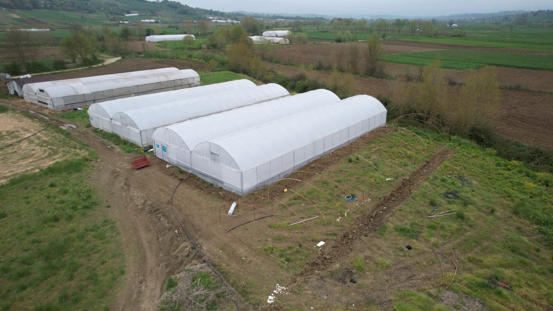 Kocaeli Büyükşehir Belediyesi modern sera desteği