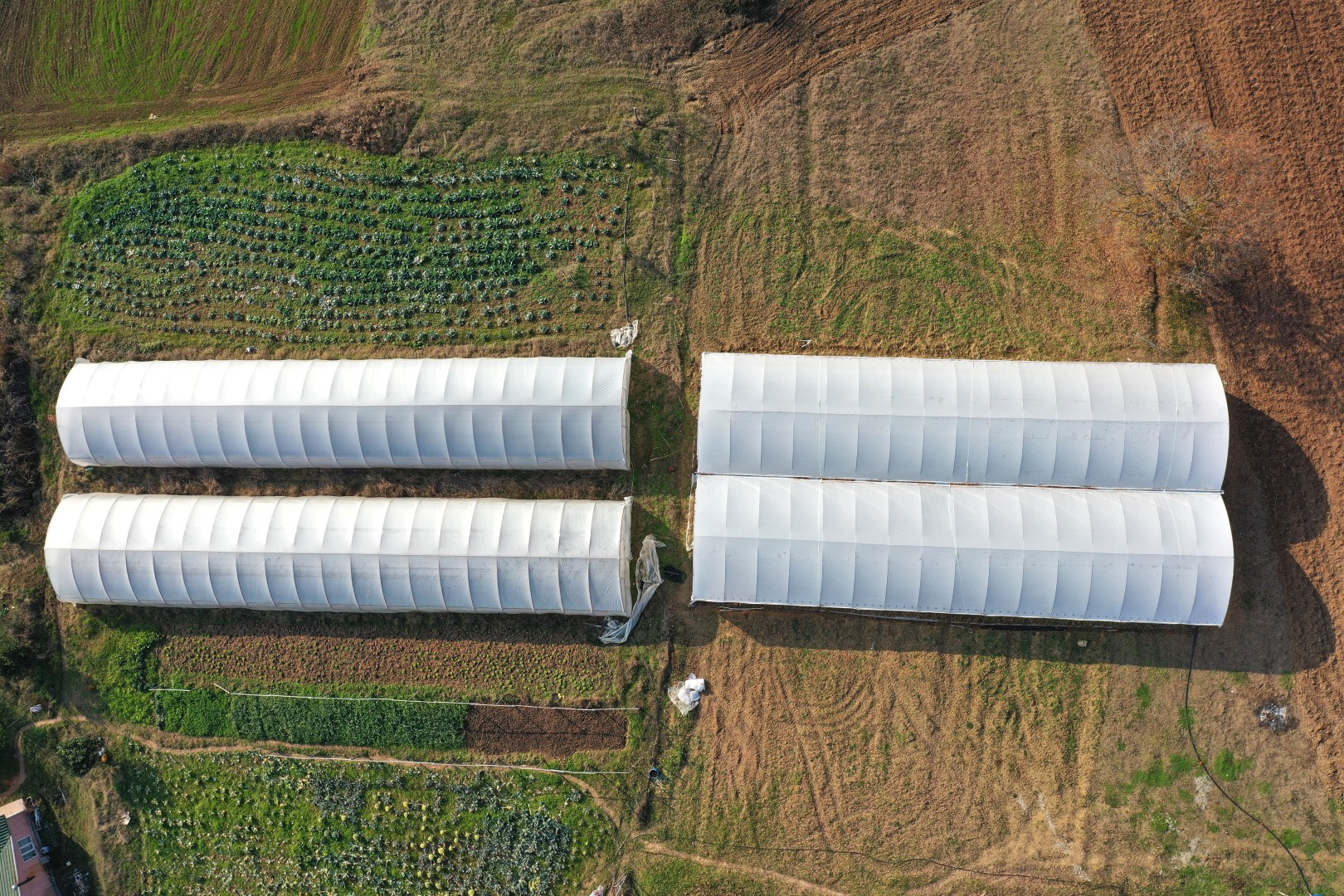Kocaeli Büyükşehir Belediyesi modern sera desteği
