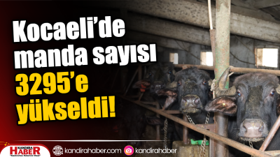 Kocaeli Büyükşehir Belediyesi’nin Tarım ve Orman Bakanlığı iş birliğiyle yürüttüğü