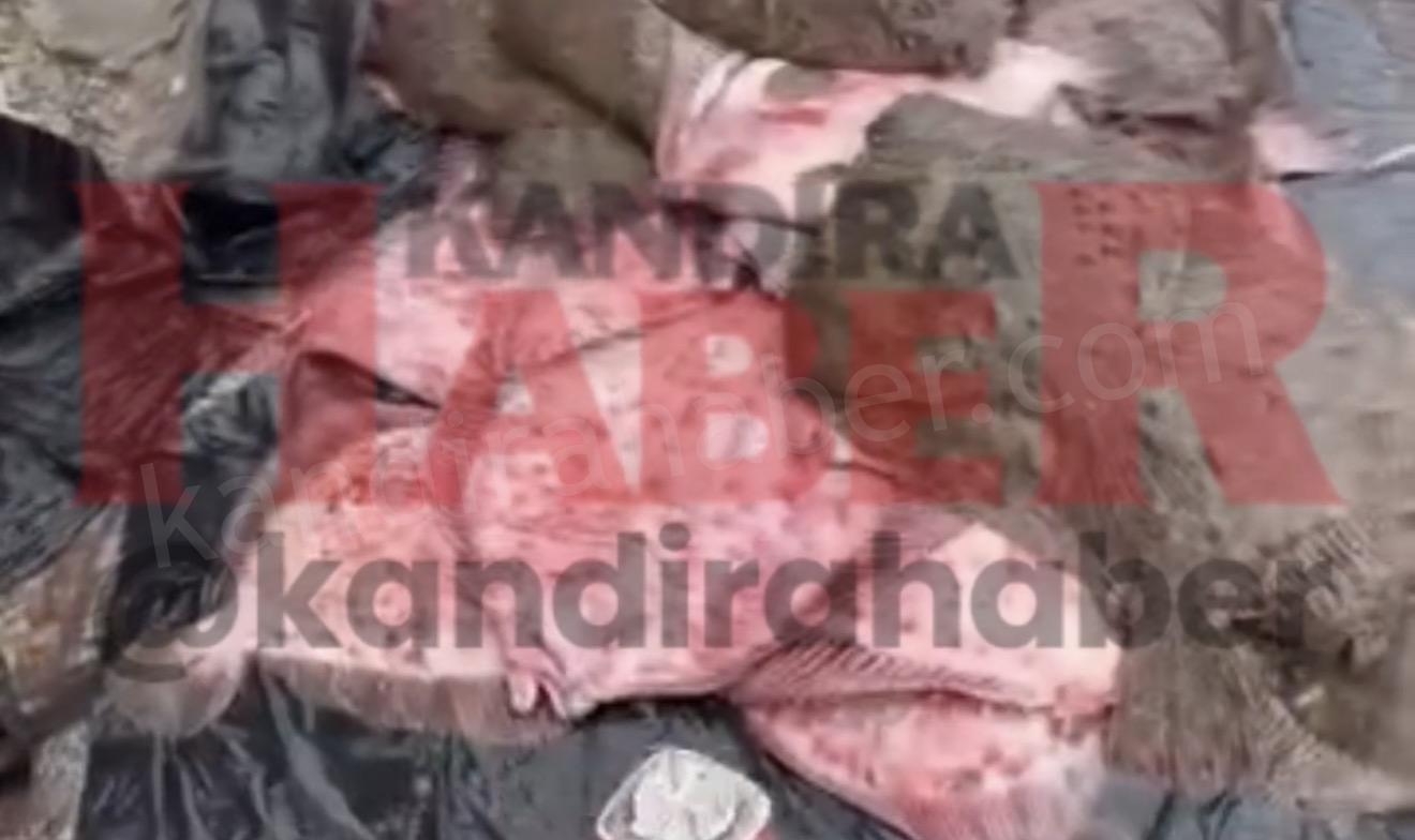 Kandıra Kefken’de Sahil Güvenlik ve Tarım Müdürlüğü ekiplerince el konulan