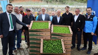 Kocaeli’de Çiftçiye Dev Destek: Yüzde 75 Hibeli Sebze Fidesi Dağıtılacak Kocaeli Büyükşehir Belediyesi ile Kocaeli İl Tarım ve Orman Müdürlüğü