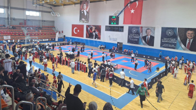 Türkiye Büyük Millet Meclisi (TBMM) ve Gençlik ve Spor Bakanlığı