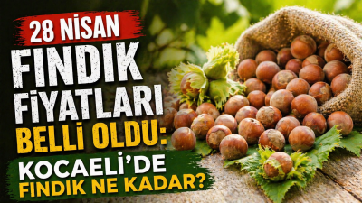 Karadeniz ve Marmara ekonomisinin en önemli tarımsal ürünlerinden biri olan