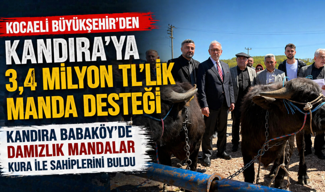 Kocaeli Büyükşehir Belediyesi’nin tarım ve hayvancılığa yönelik projeleri her geçen