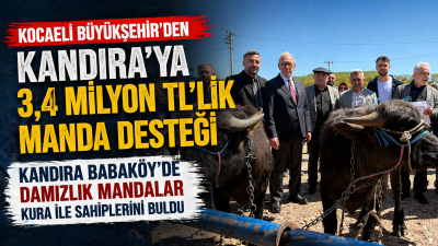 Kocaeli Büyükşehir Belediyesi’nin tarım ve hayvancılığa yönelik projeleri her geçen