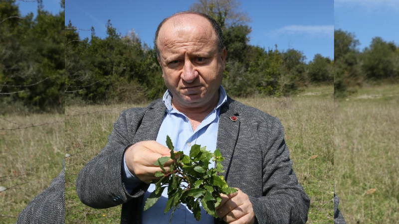 Kandıra merkezli 5 ilde eş zamanlı düzenlenen ve Kandıra Orman