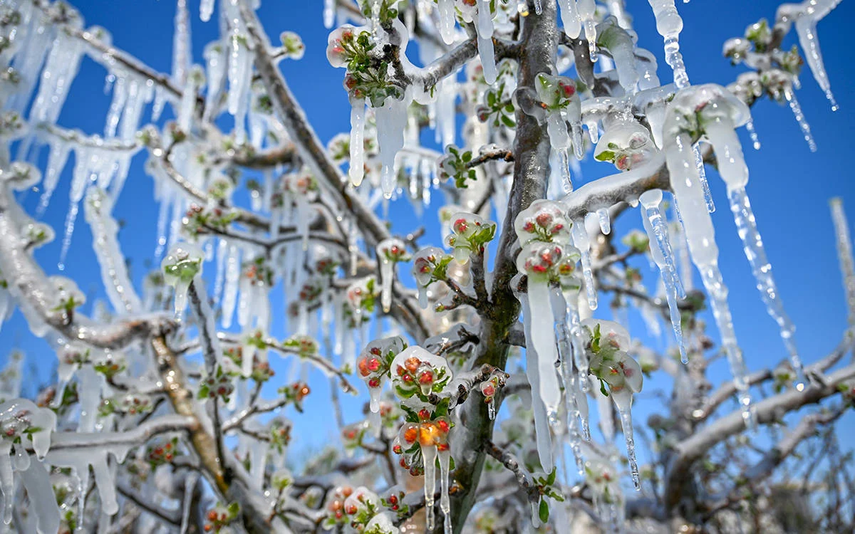 Kocaeli Büyükşehir Belediyesi, Meteoroloji Genel Müdürlüğü’nden gelen veriler doğrultusunda il