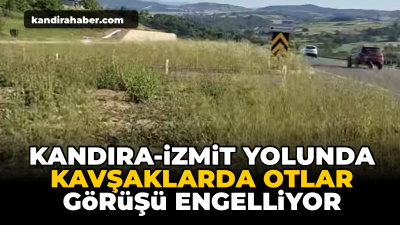 Kandıra-İzmit yolunda tehlike büyüyor: Kavşaklarda otlar görüşü engelliyor Kandıra-İzmit yolundaki kavşaklarda uzayan otların görüşü engellediğini belirten vatandaşlar, yetkililerden