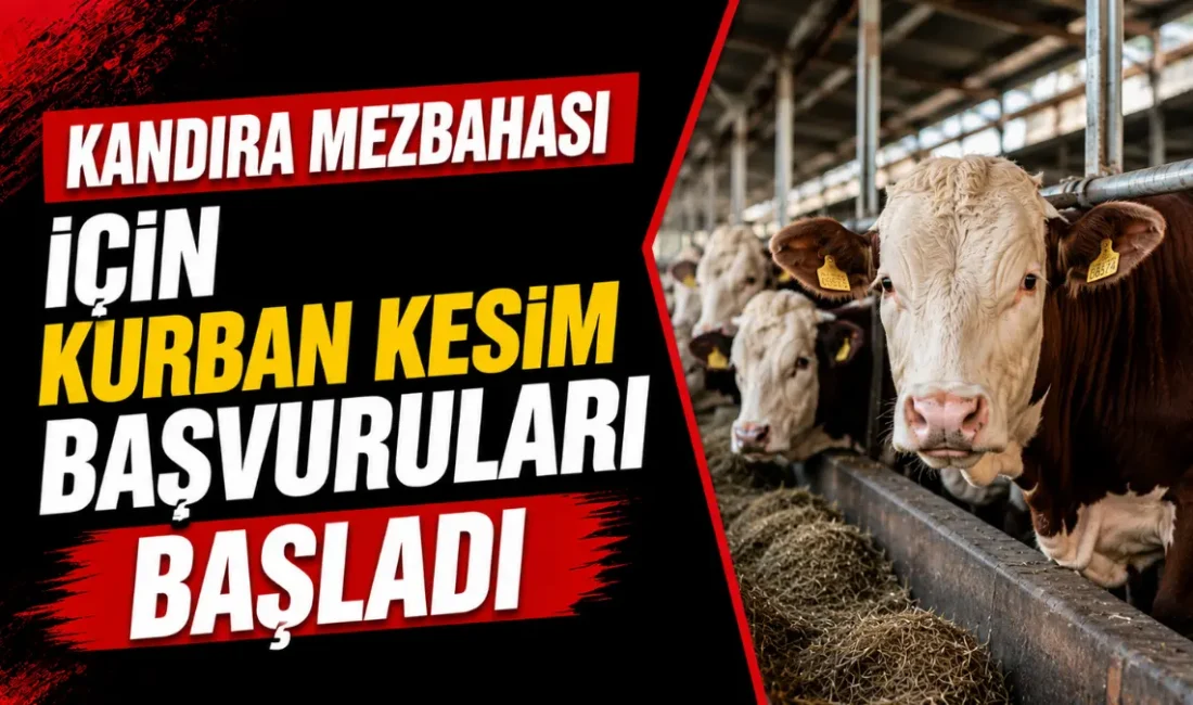 Kandıra Mezbahası’nda Kurban Bayramı kesim hizmeti için başvurular başladı. Şahsen