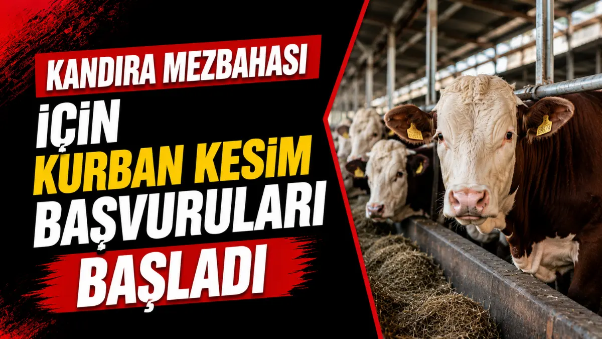 Kandıra Mezbahası’nda Kurban Bayramı kesim hizmeti için başvurular başladı. Şahsen