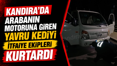 Kandıra'da gece saatlerinde aracının motor kısmına yavru bir kedinin girdiğini