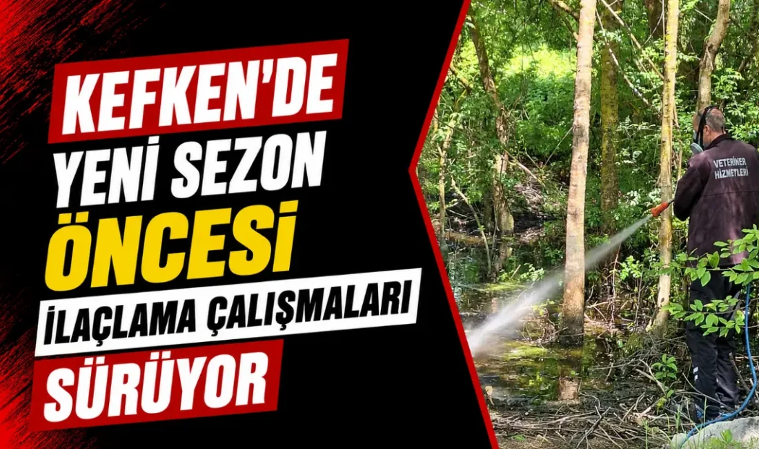 Kocaeli Büyükşehir Belediyesi ekipleri, yaz