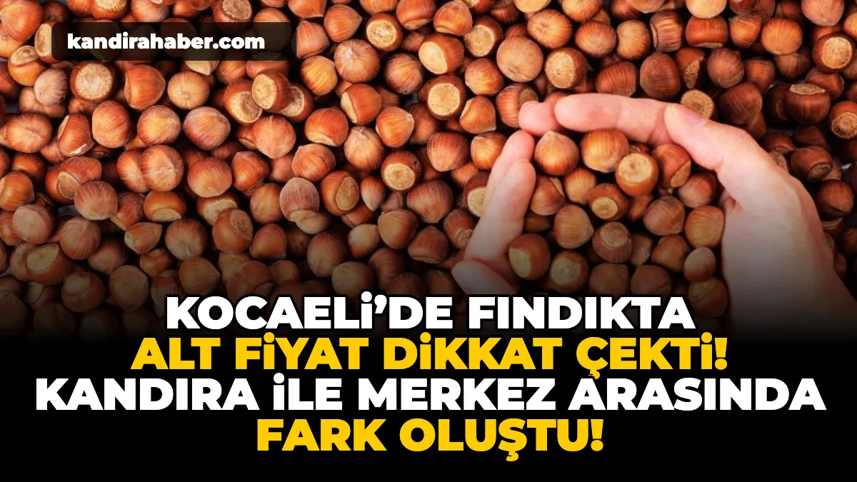 Kocaeli’de 1 Haziran 2026 tarihinde fındık fiyatları 141-156 TL aralığında