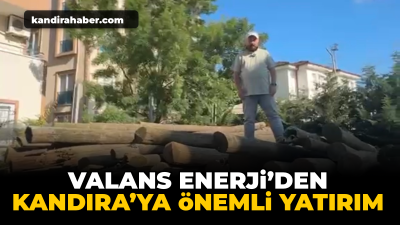 Valans Enerji Mühendislik tarafından Kandıra şubesine getirilen 500 adet ağaç