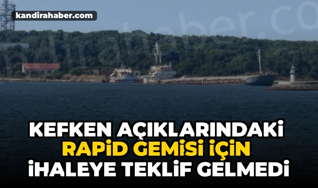 Yaklaşık 10 aydır Kefken Adası açıklarında karaya oturmuş halde bulunan