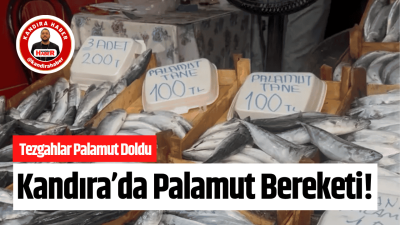 Küçük ölçekli tekneler için av sezonunun başlamasının ardından Kefken ve