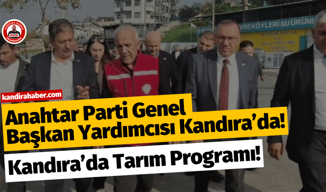 Anahtar Parti Genel Başkan Yardımcısı