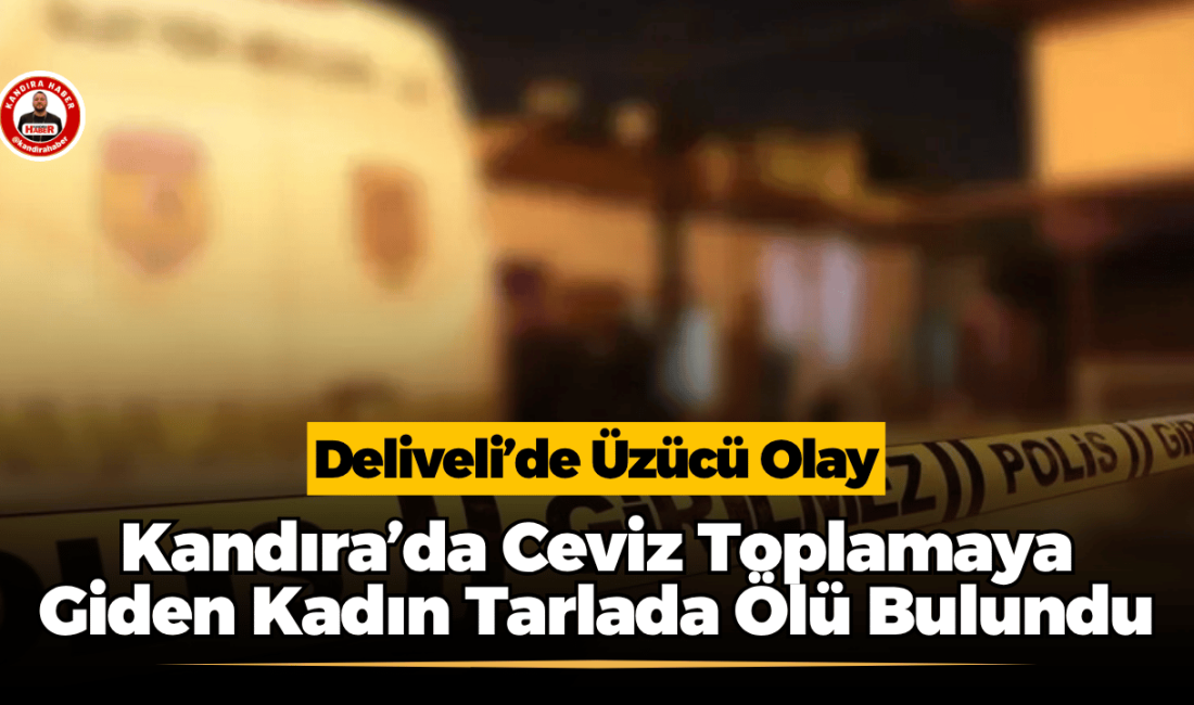 Kandıra Deliveli Mahallesi’nde ceviz toplamaya