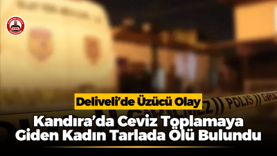 Kandıra Deliveli Mahallesi’nde ceviz toplamaya giden 82 yaşındaki Emine Y.,